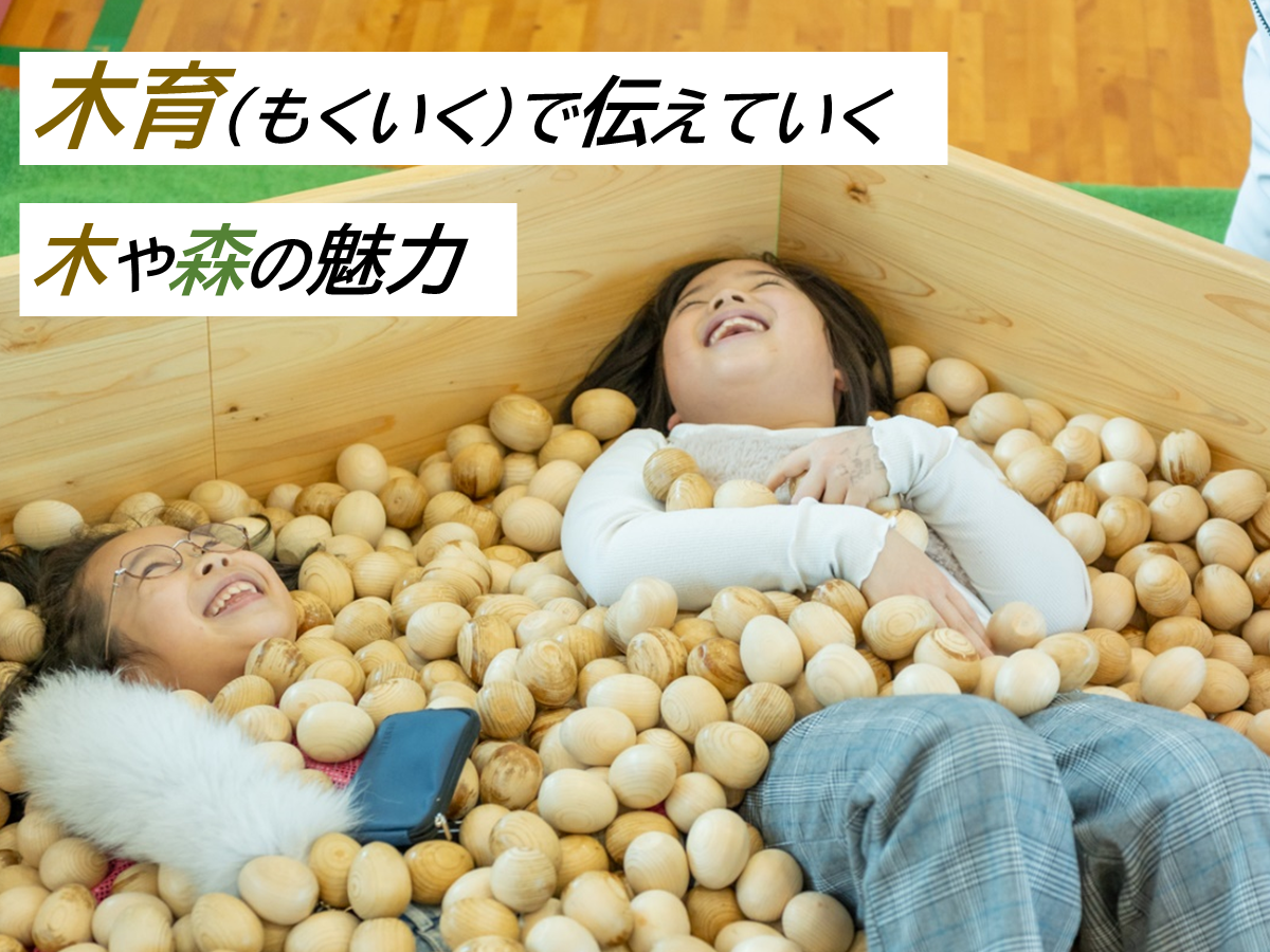 もくいくで伝えていく木や森の魅力
