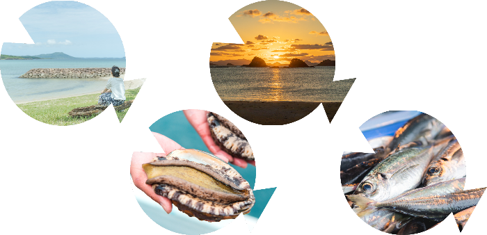 松浦の海と魚の写真
