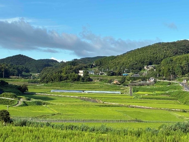 御厨町田代地域の風景