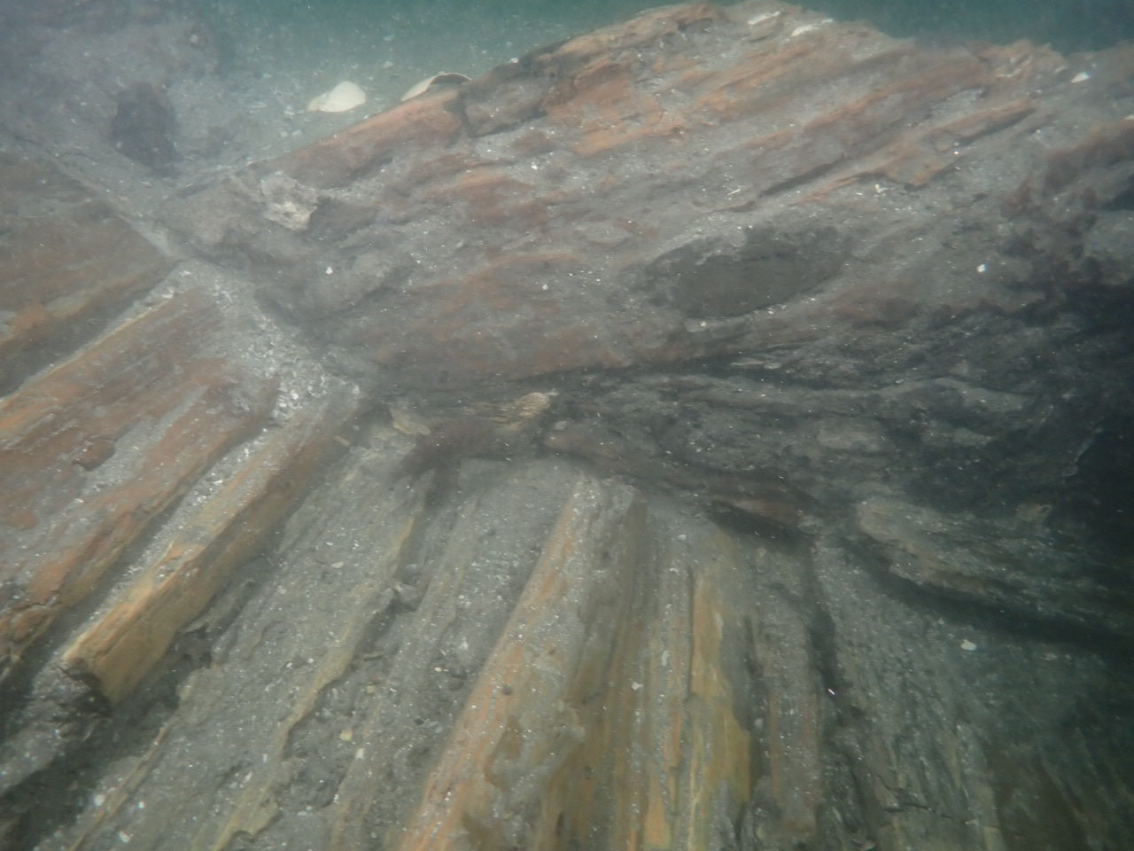 隔壁出土状況（東方向から）