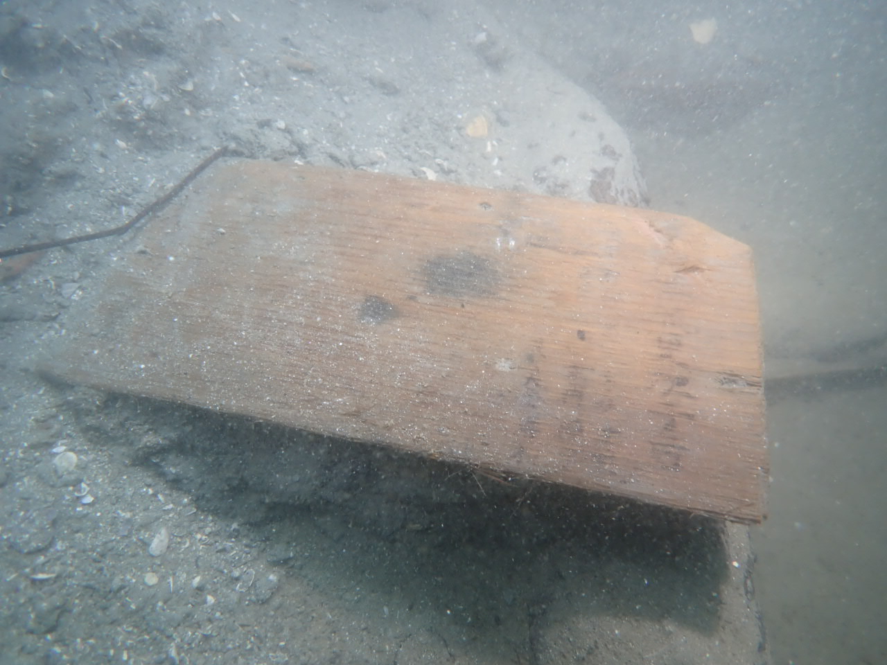 墨書木板出土状況