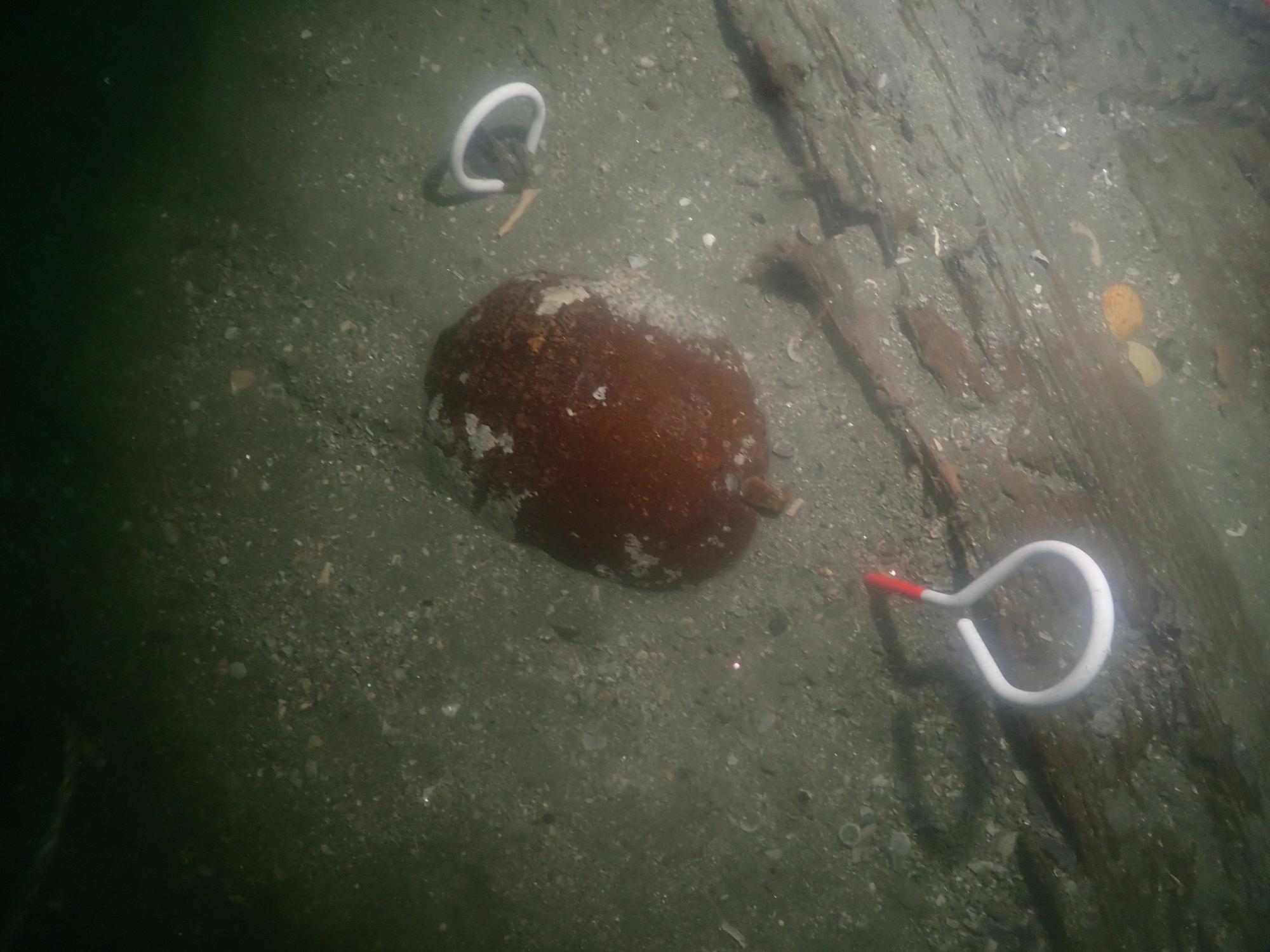 褐釉陶器四耳壺出土状況