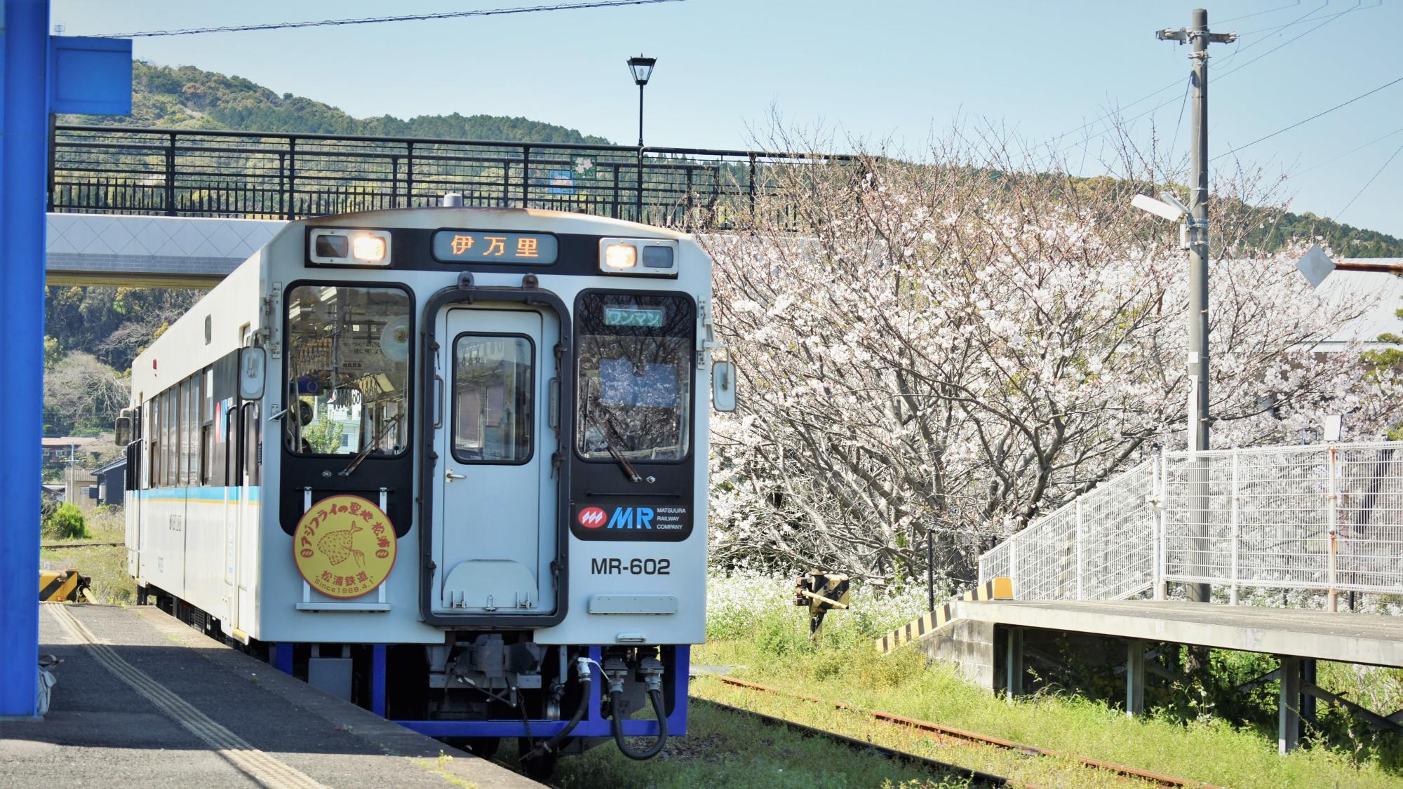 アジフライの聖地松浦号